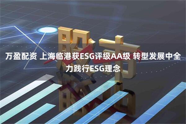 万盈配资 上海临港获ESG评级AA级 转型发展中全力践行ESG理念