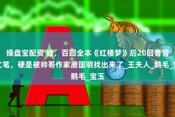 操盘宝配资 哇，百回全本《红楼梦》后20回曹雪芹文笔，硬是被帅哥作家唐国明找出来了_王夫人_鹅毛_宝玉