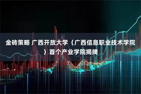 金砖策略 广西开放大学（广西信息职业技术学院）首个产业学院揭牌